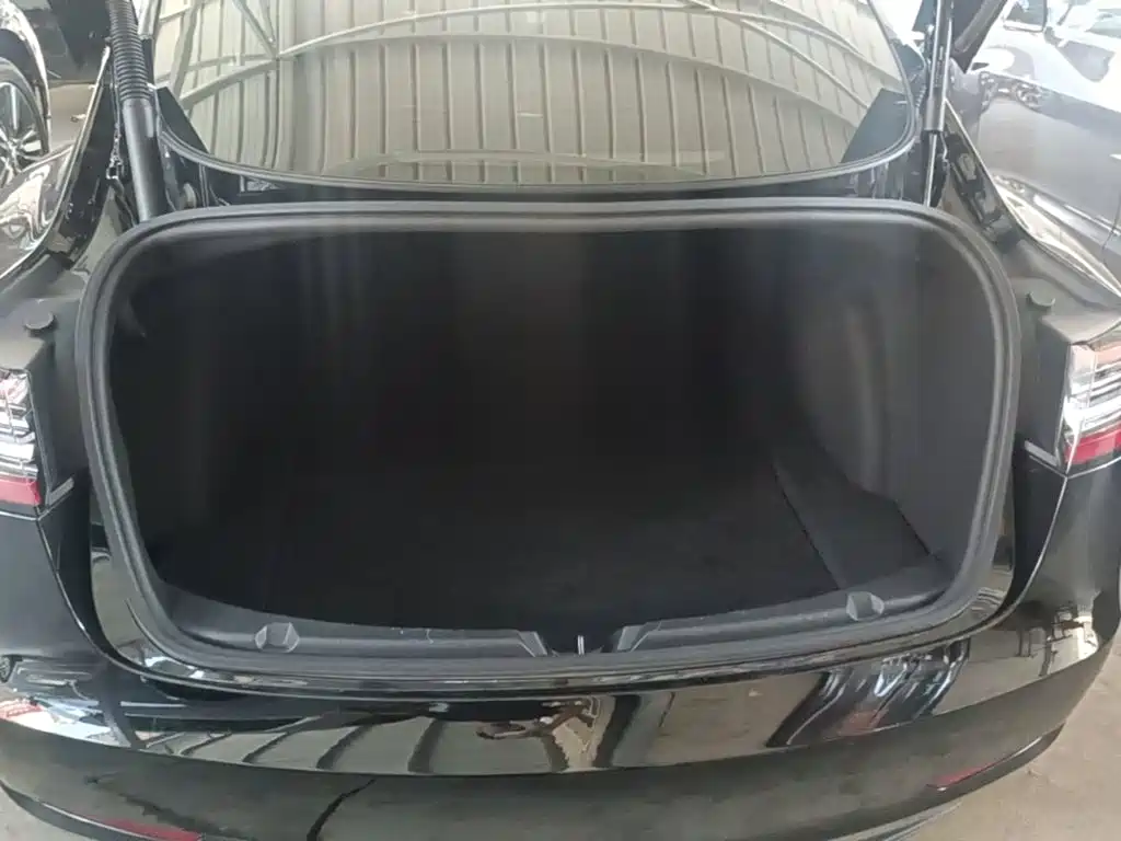 Tesla Model 3 — миниатюра 15