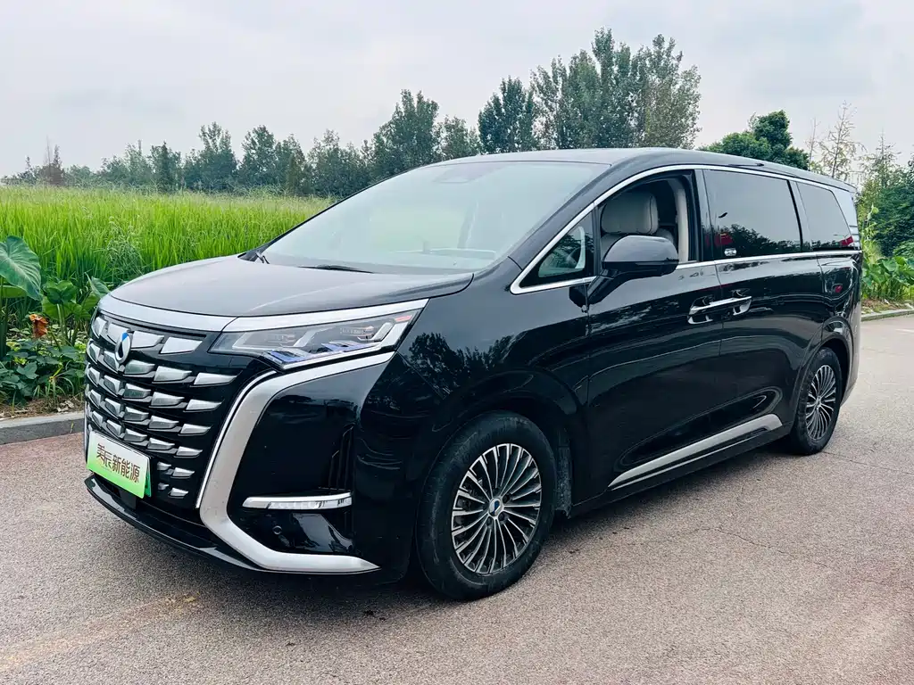 Denza Denza D9