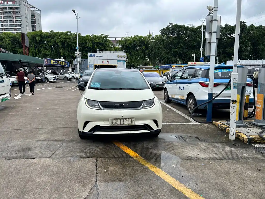 BYD Dolphin — миниатюра 3