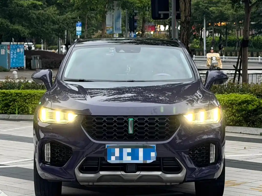 Wey Wey VV5 — миниатюра 6
