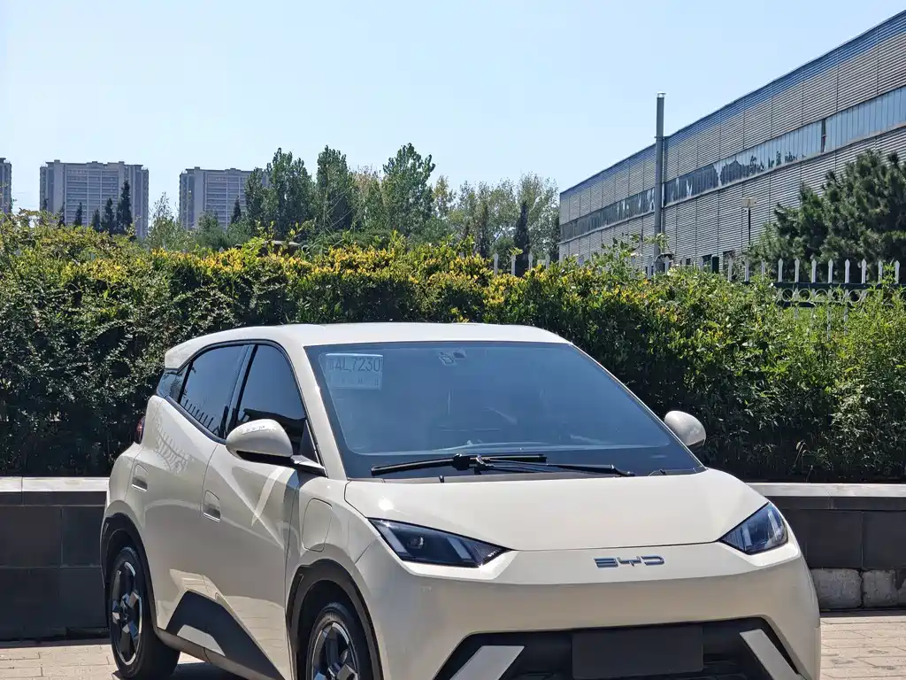BYD Dolphin — миниатюра 3