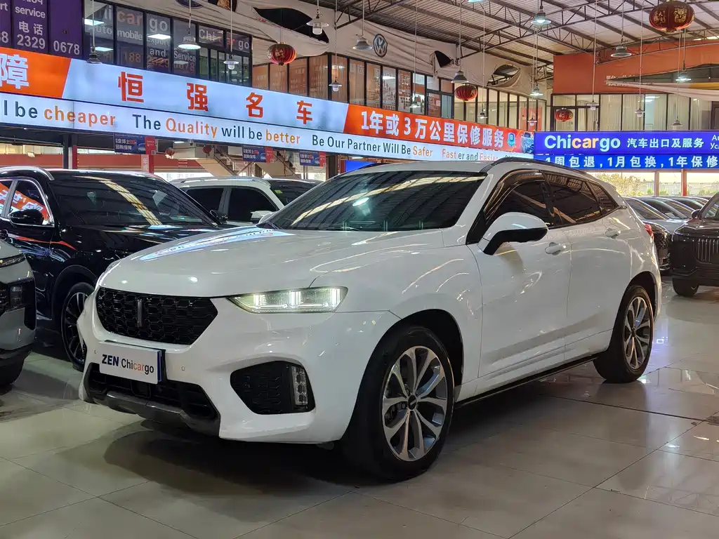 WEI PAI WEI BRAND VV7