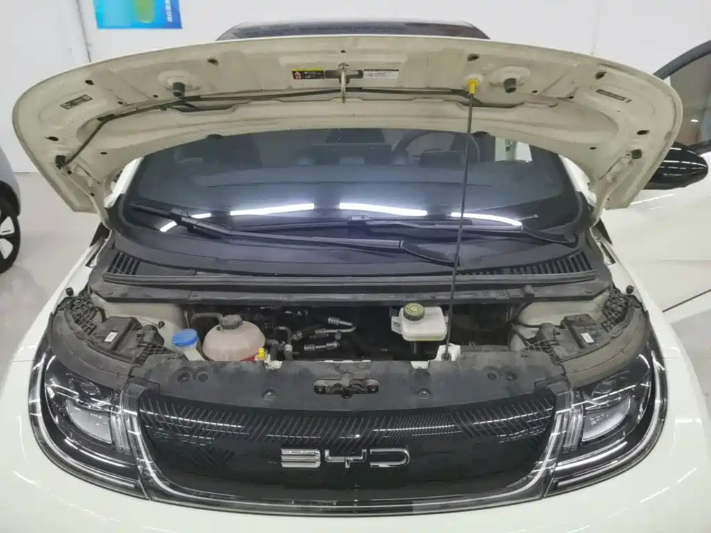 BYD Dolphin — миниатюра 20