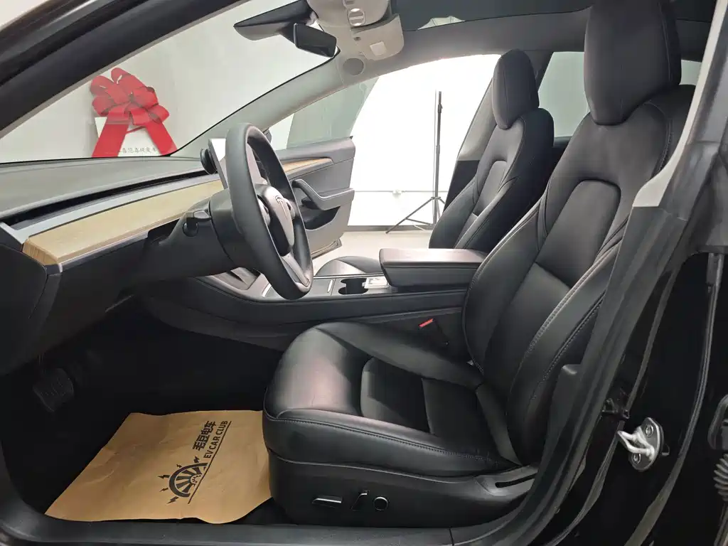 Tesla Model 3 — миниатюра 46