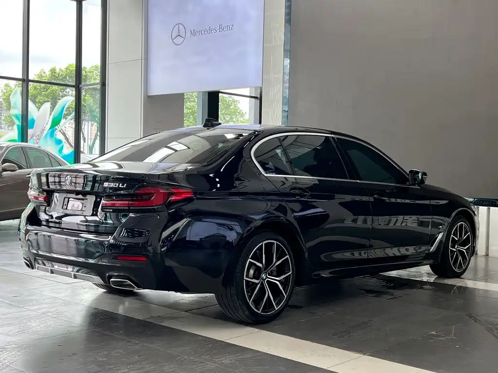 BMW 5 Series — миниатюра 5
