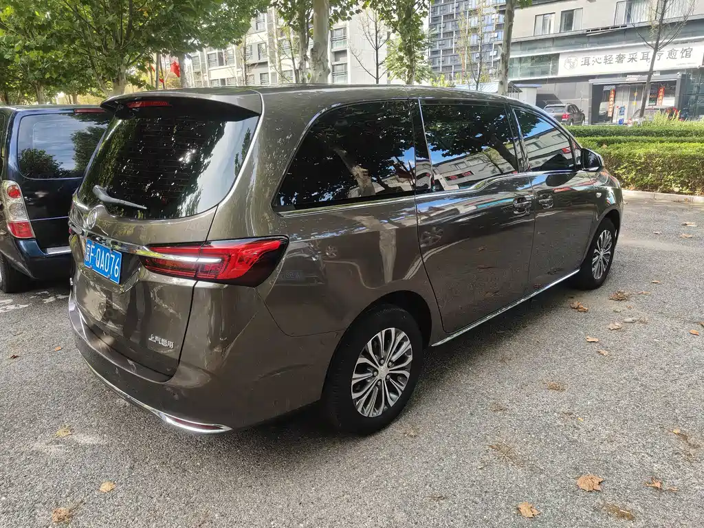 Buick GL8 — миниатюра 4