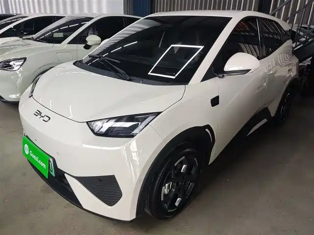 2025 BYD Seagull