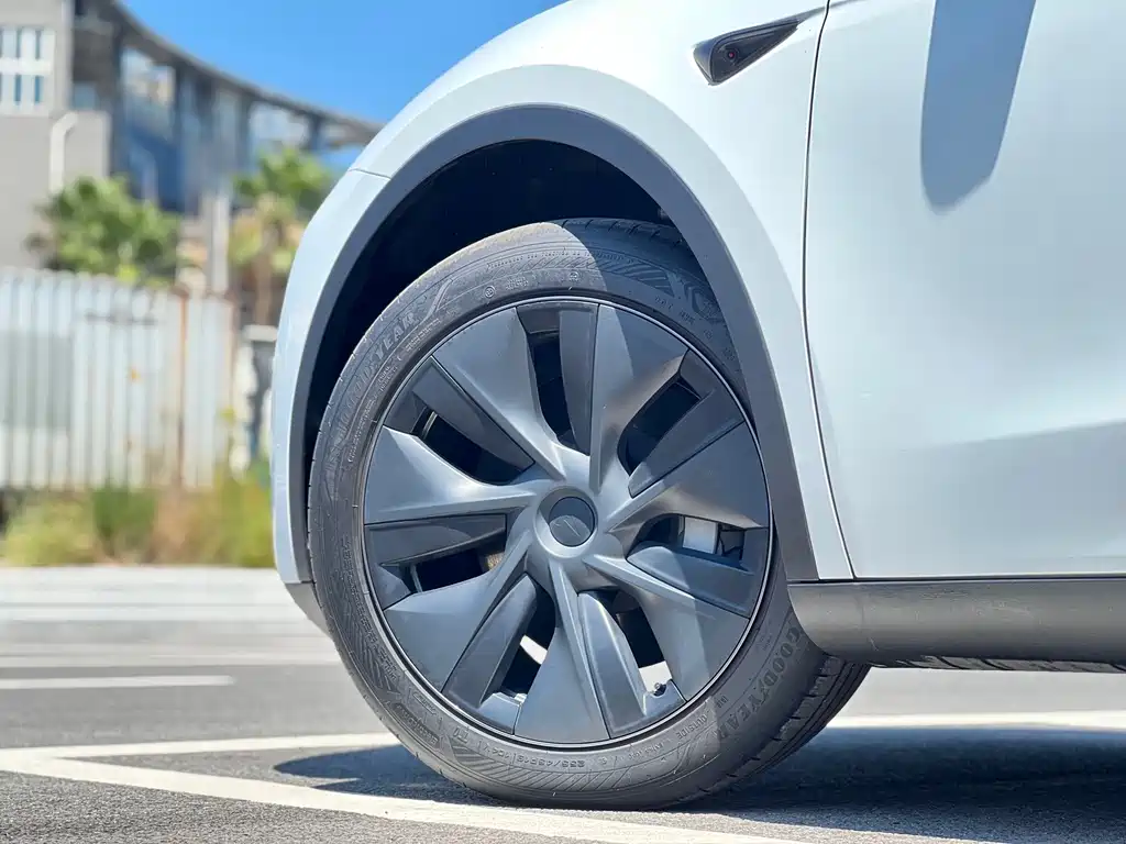 Tesla Model Y — миниатюра 13
