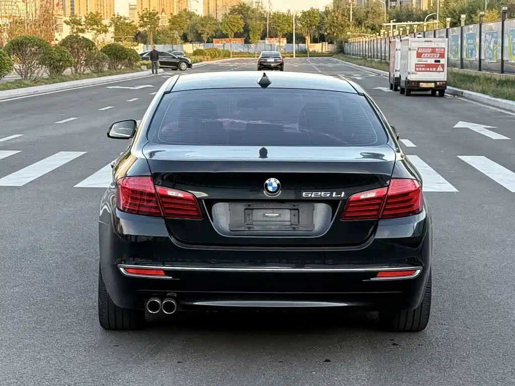 BMW 5 Series — миниатюра 5