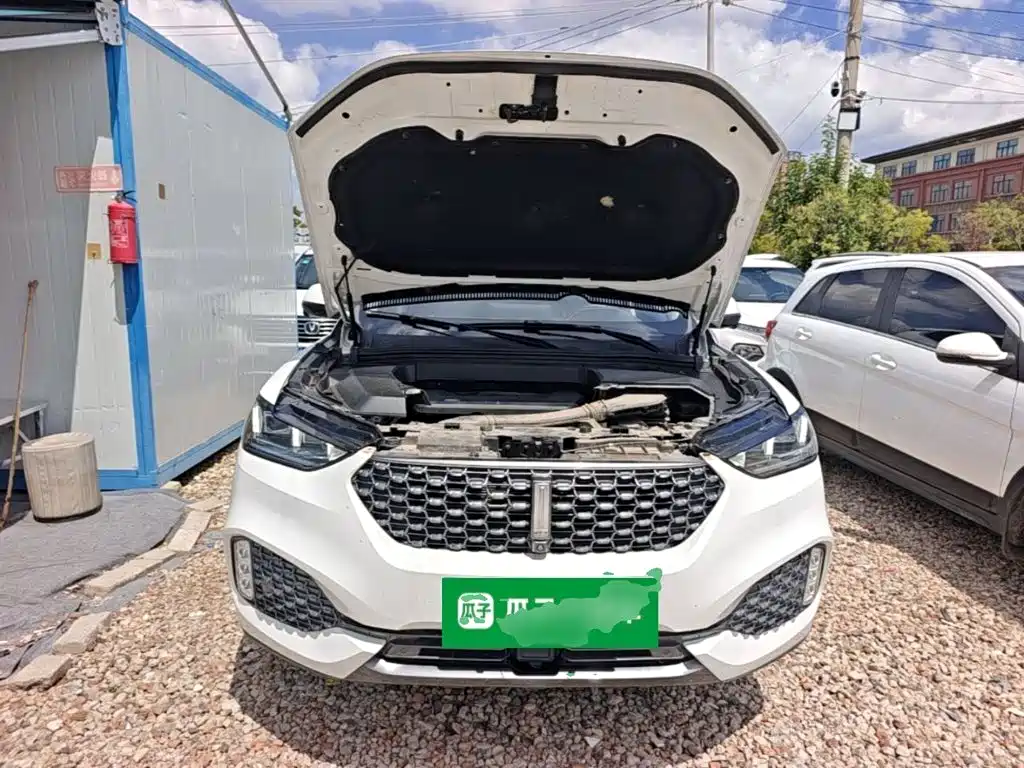 Wey Wey VV6 — миниатюра 20