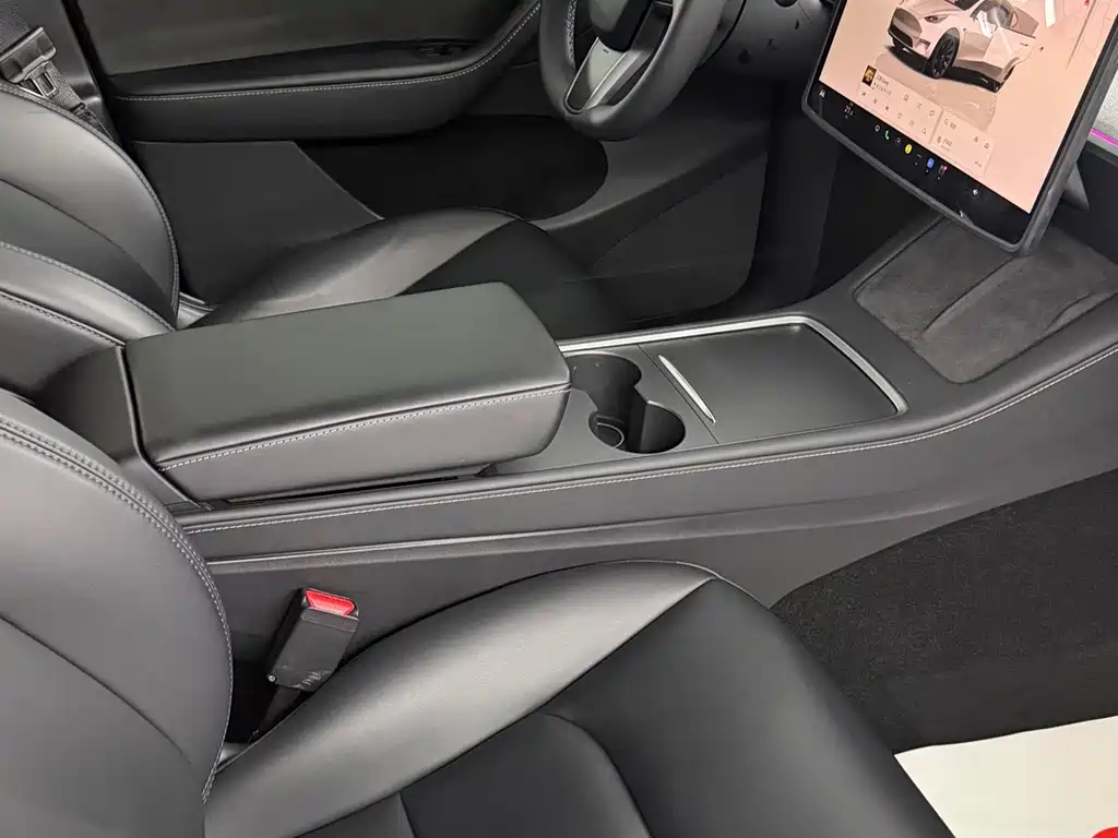 Tesla Model Y — фотографии объявления, Фото 14