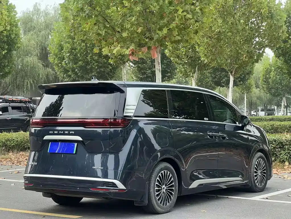 Denza Denza D9 — миниатюра 8