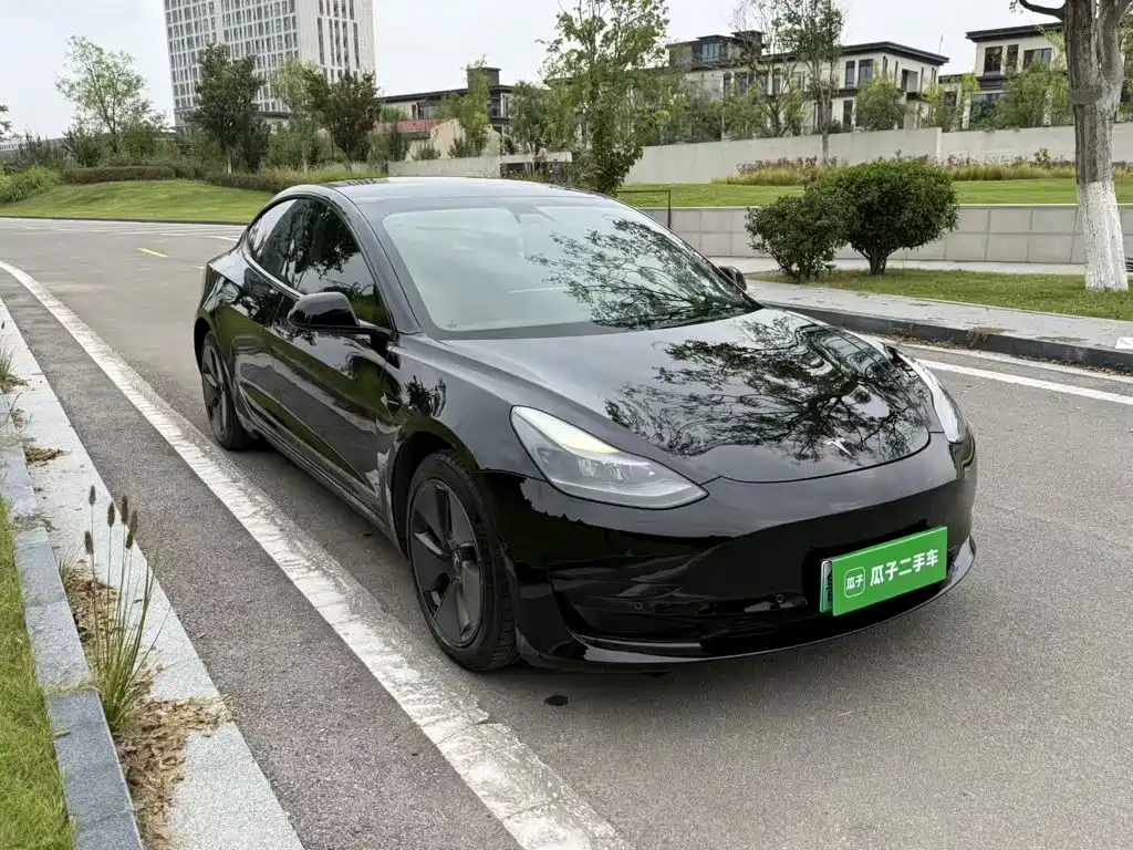 Tesla Model 3 — миниатюра 4