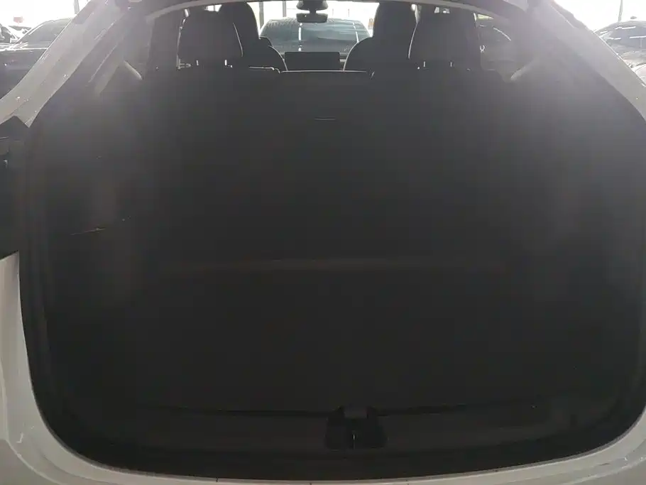 Tesla Model Y — миниатюра 4