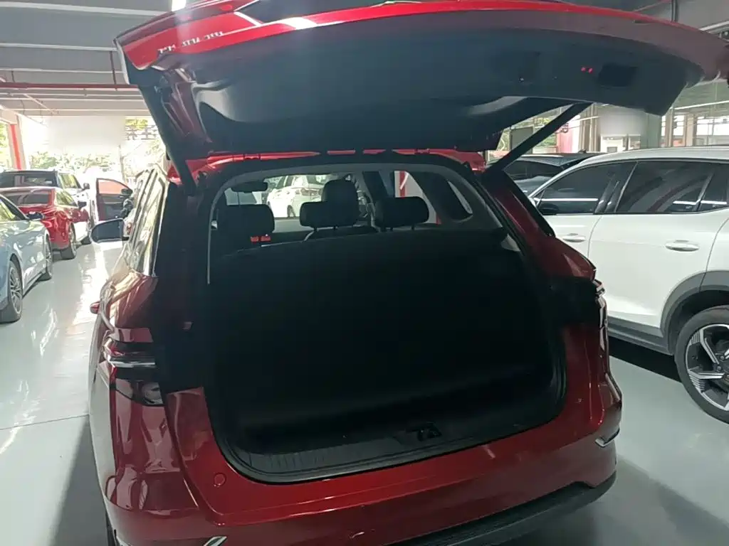 BYD Pro New Energy — миниатюра 19