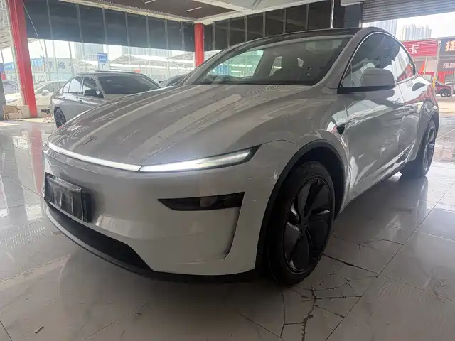 TESLA MODEL Y 2025