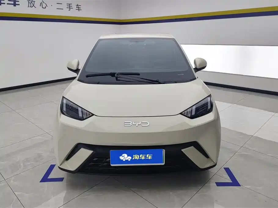 BYD Seagull 2024 305km