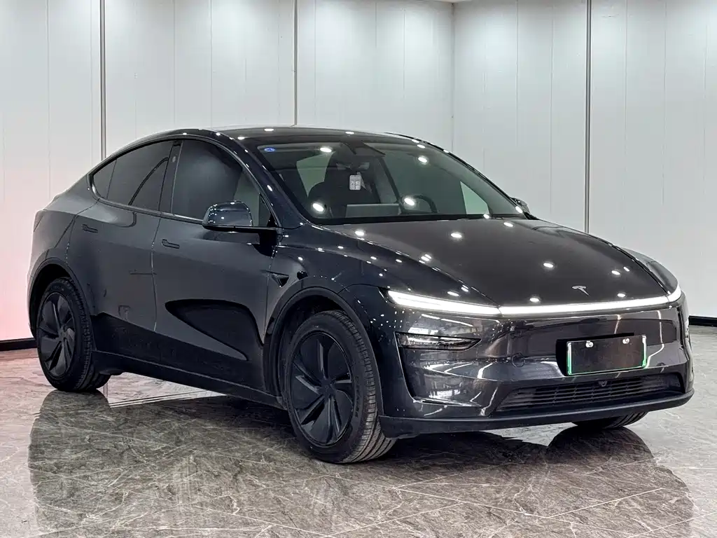 Tesla Model Y — миниатюра 3