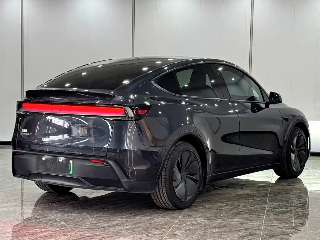 Tesla Model Y — миниатюра 15