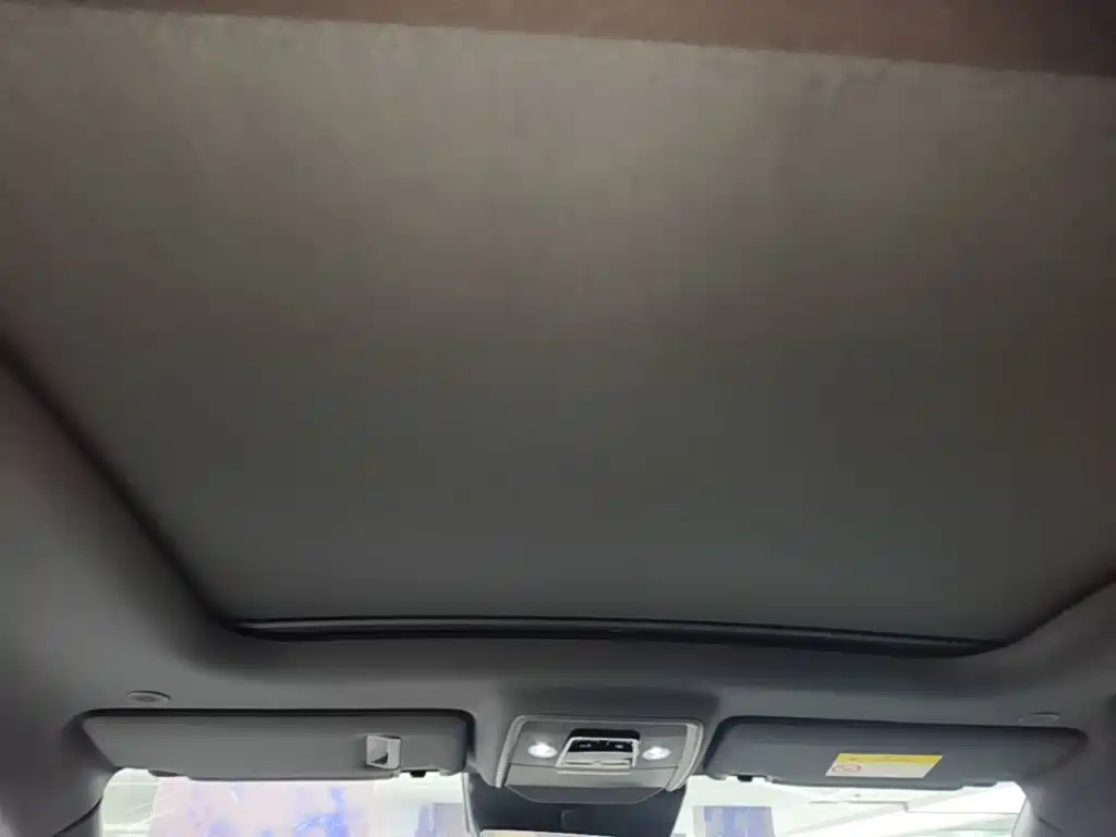 BYD PLUS New Energy — миниатюра 18