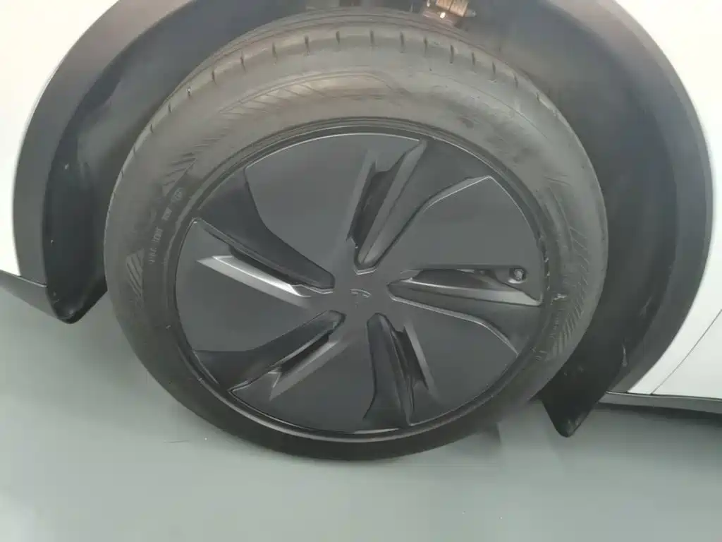 Tesla Model Y — миниатюра 23