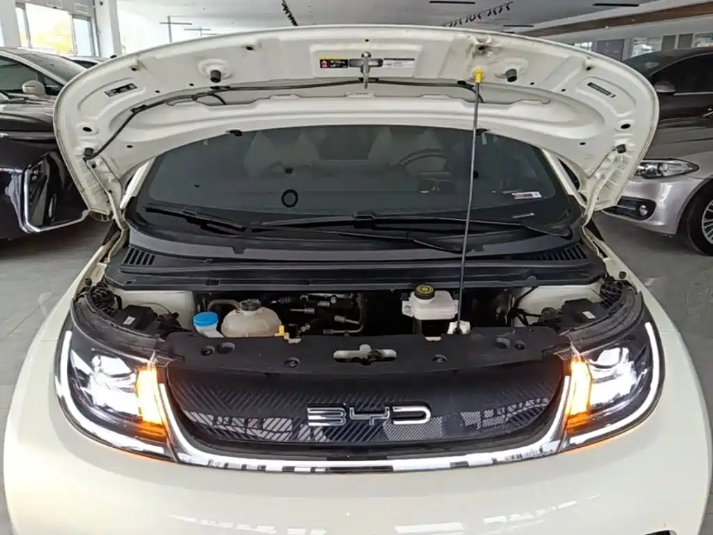 BYD Dolphin — миниатюра 20