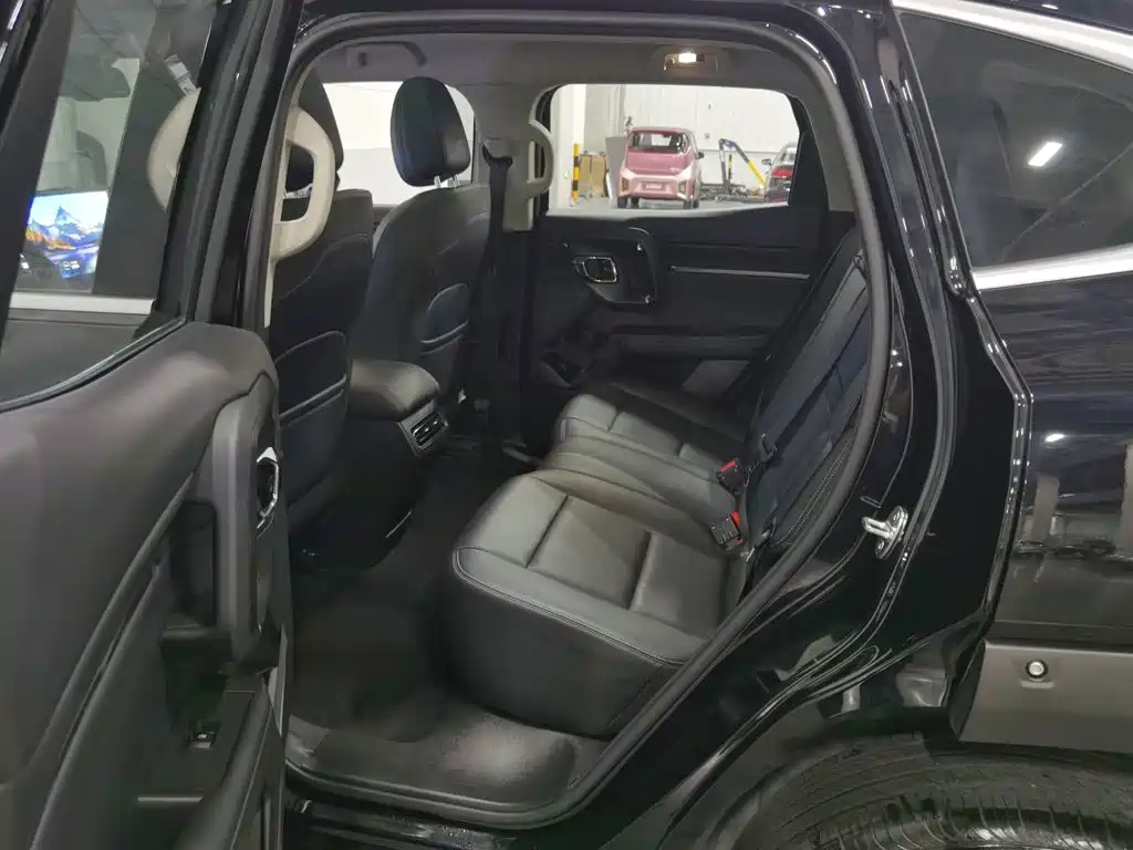 Haval Big Dog PLUS — миниатюра 15