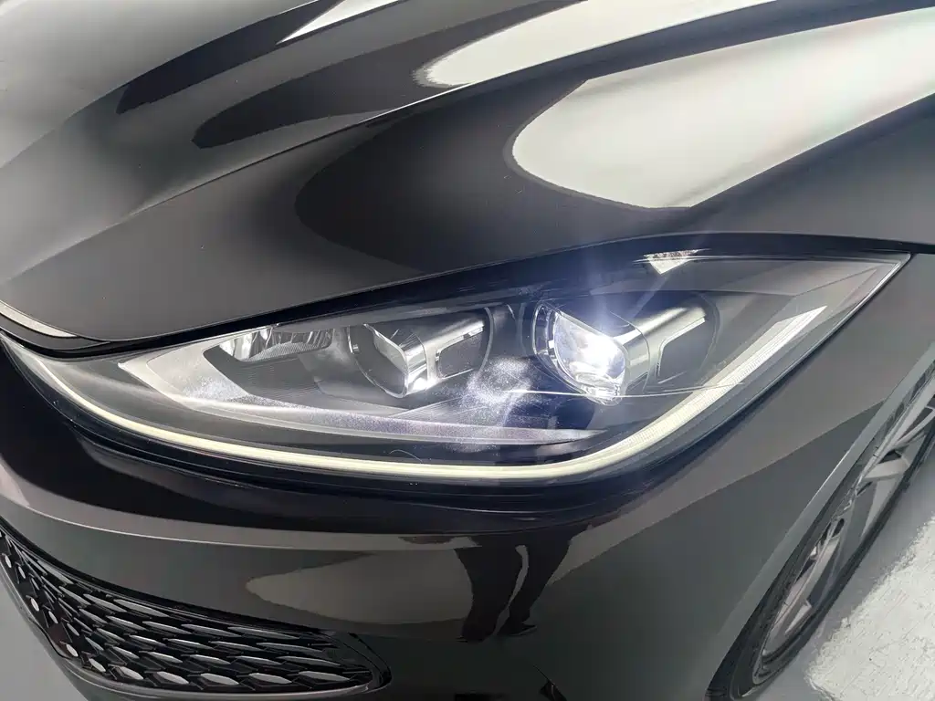 Volkswagen Lamando — миниатюра 8
