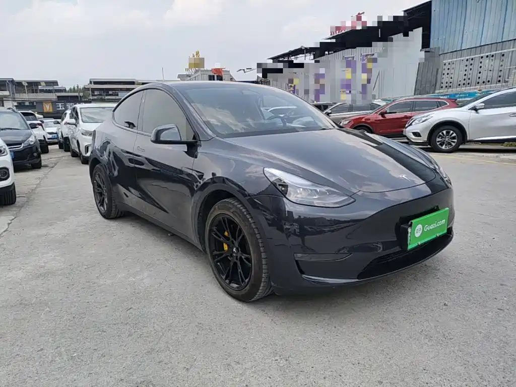 Tesla Model Y — миниатюра 4