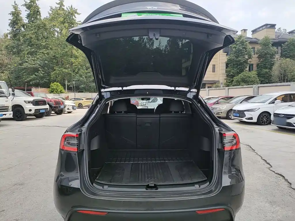 Tesla Model Y — миниатюра 19
