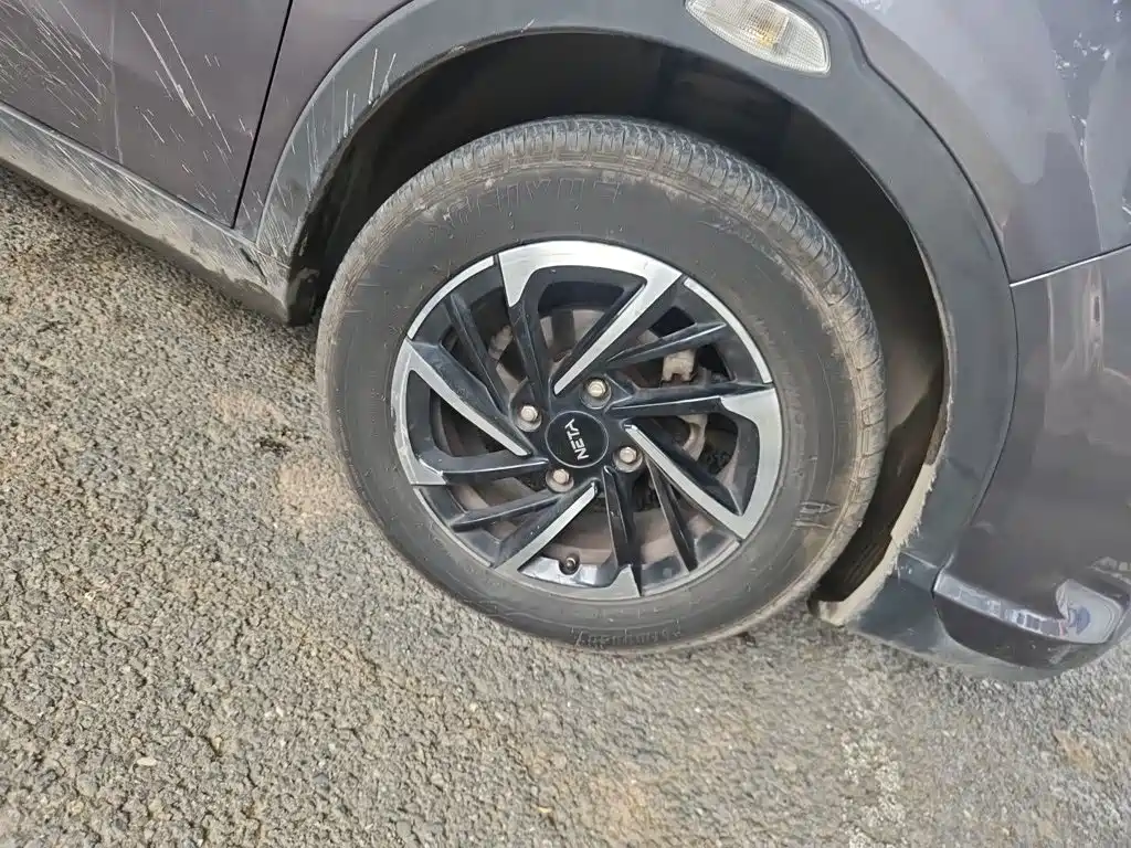 Neta Neta V — миниатюра 25