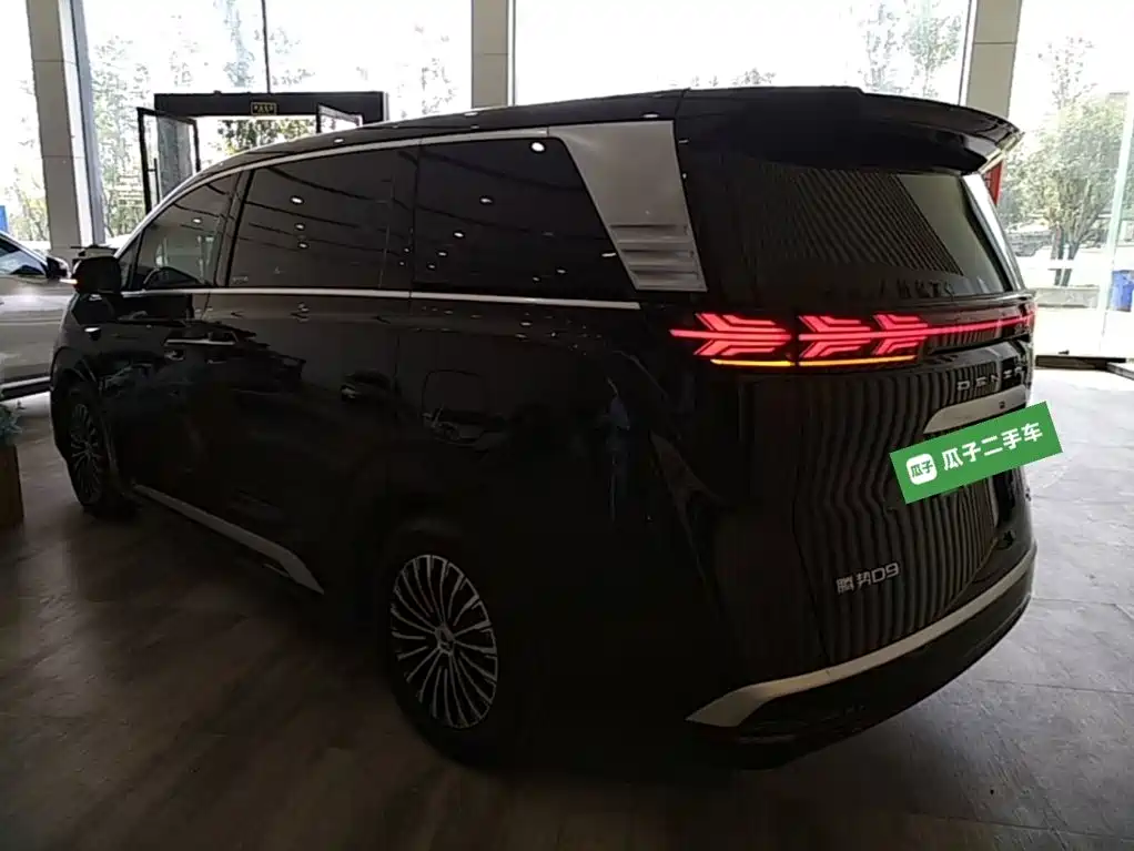 Denza Denza D9 — миниатюра 5