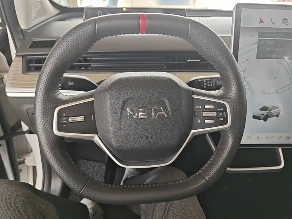 Neta Neta AYA — миниатюра 11