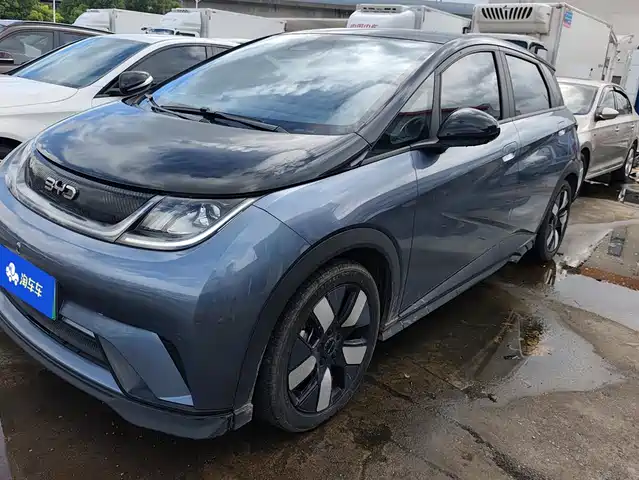 BYD 海豚
