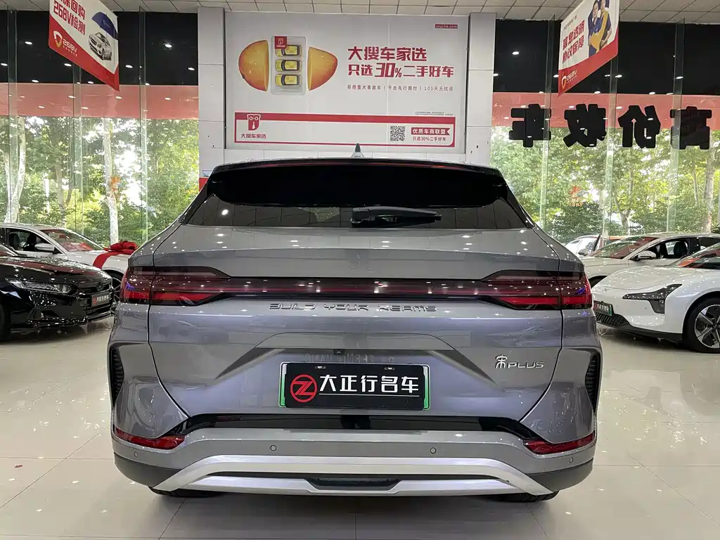 BYD PLUS New Energy — миниатюра 5