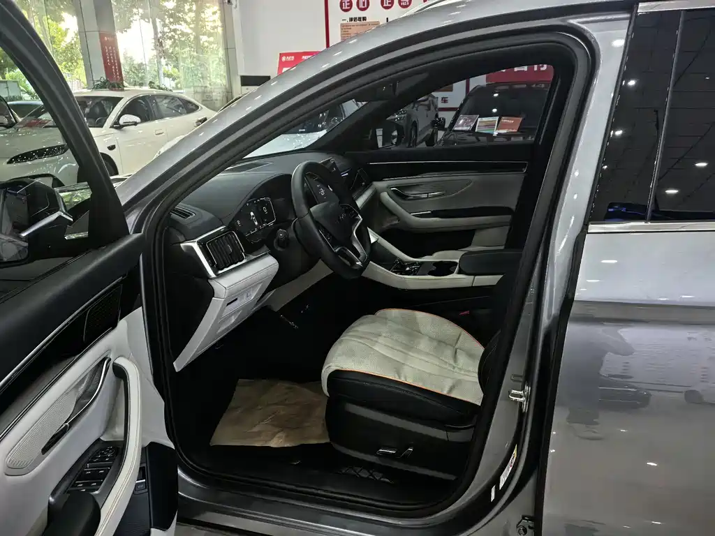 BYD PLUS New Energy — миниатюра 7