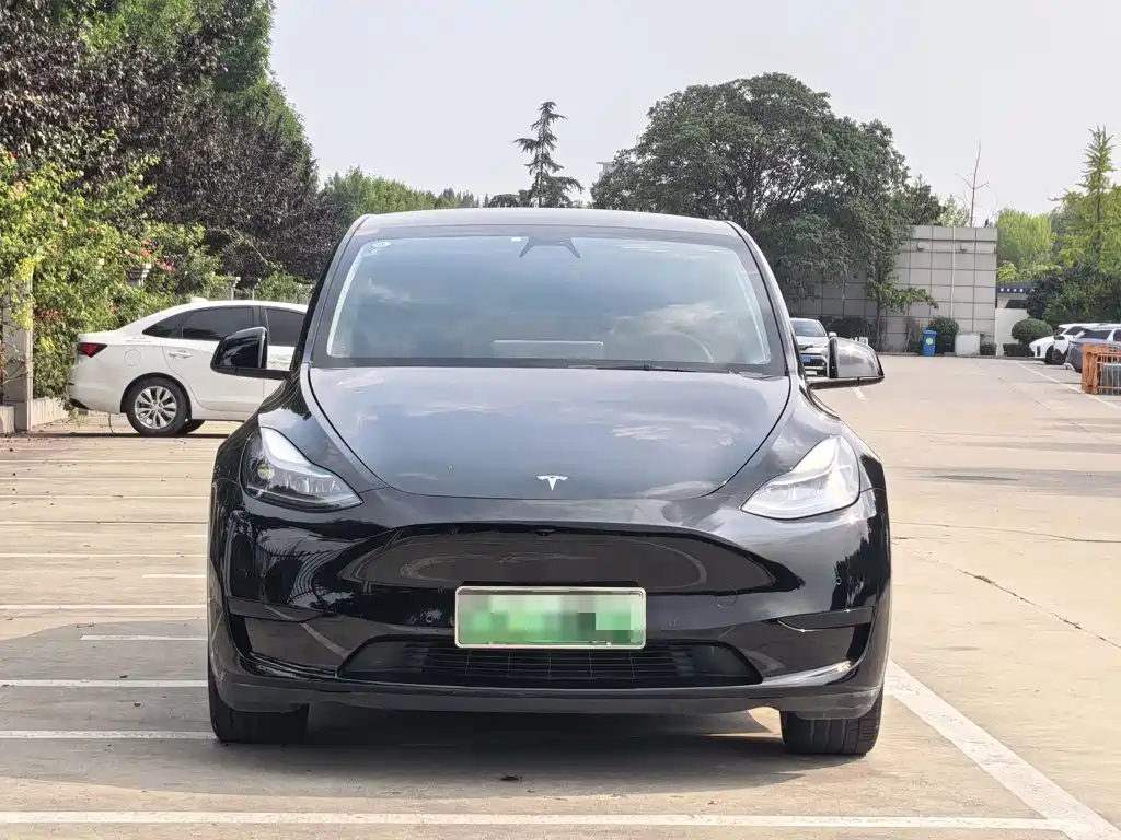 Tesla Model Y — миниатюра 2