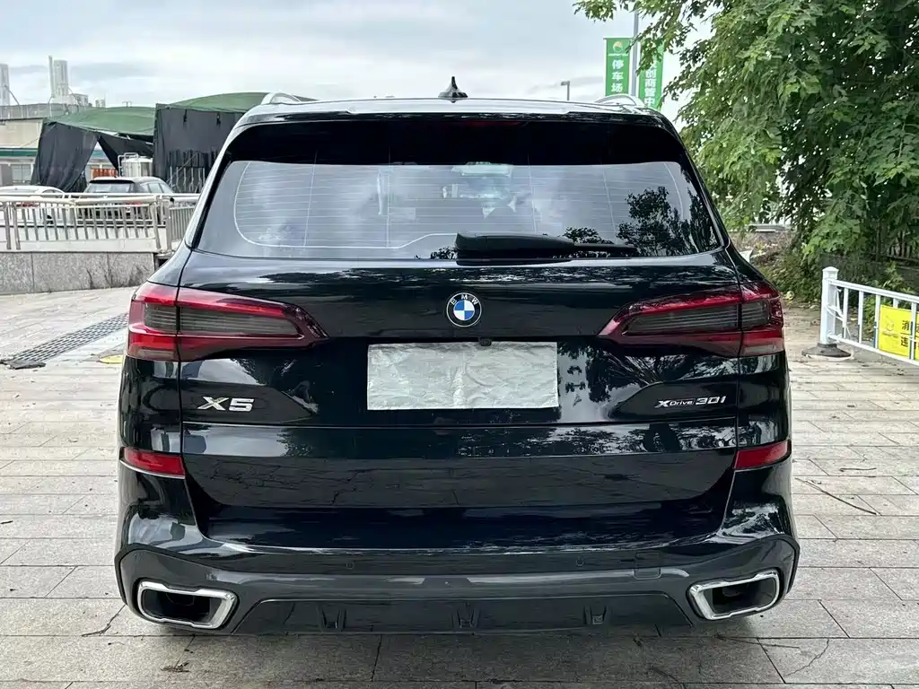 BMW X5 (Import) — миниатюра 7