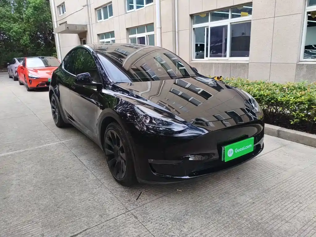 Tesla Model Y — миниатюра 4