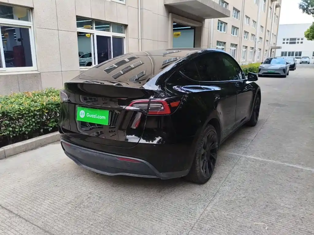 Tesla Model Y — миниатюра 7