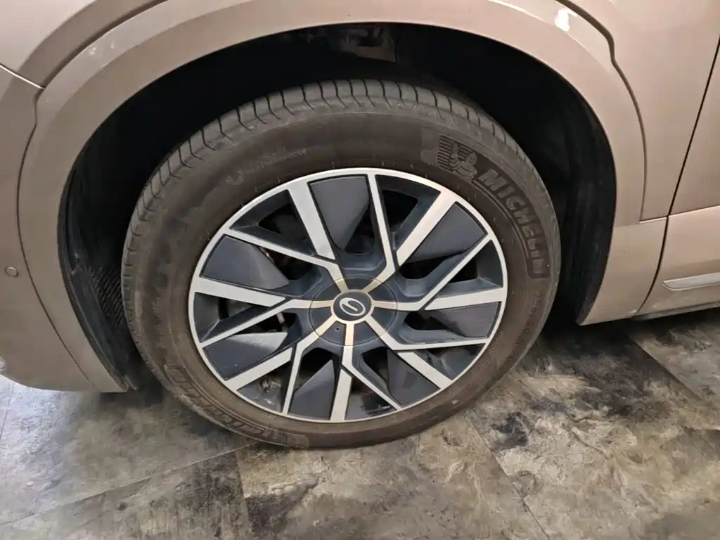 GAC Motor Trumpchi Xiangwang S9 — миниатюра 23