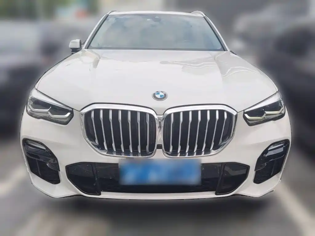 BMW X5 (Import) — миниатюра 5