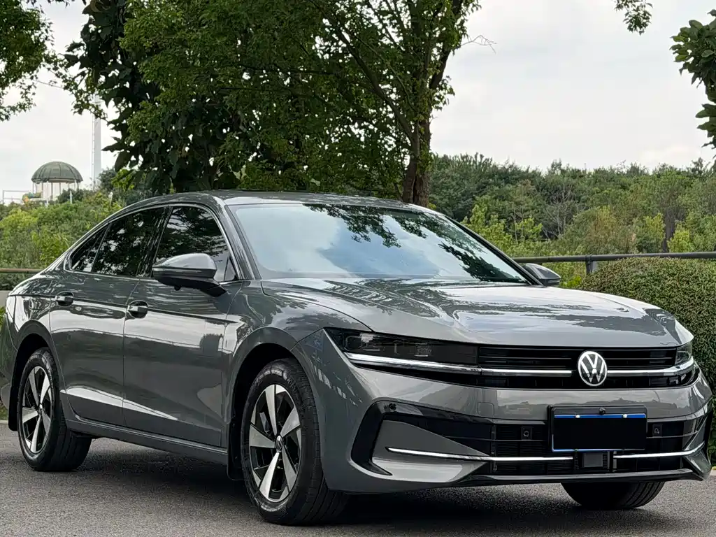Volkswagen Magotan 2024 300TSI DSG Premium