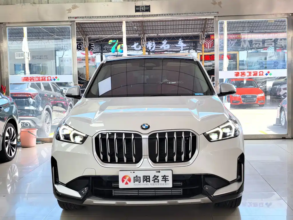 BMW X1 — миниатюра 2