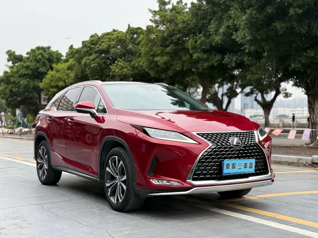 Lexus RX 2020 300 Elegant VI
