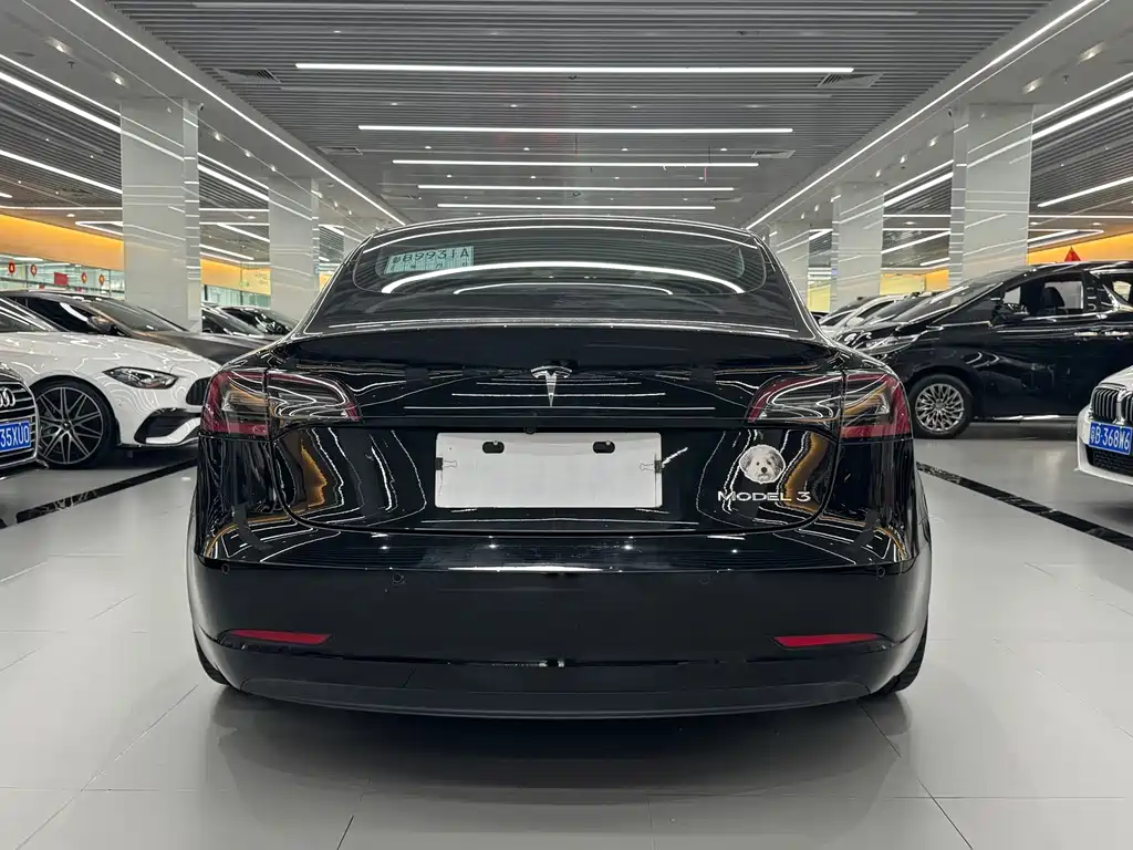 Tesla Model 3 — миниатюра 5