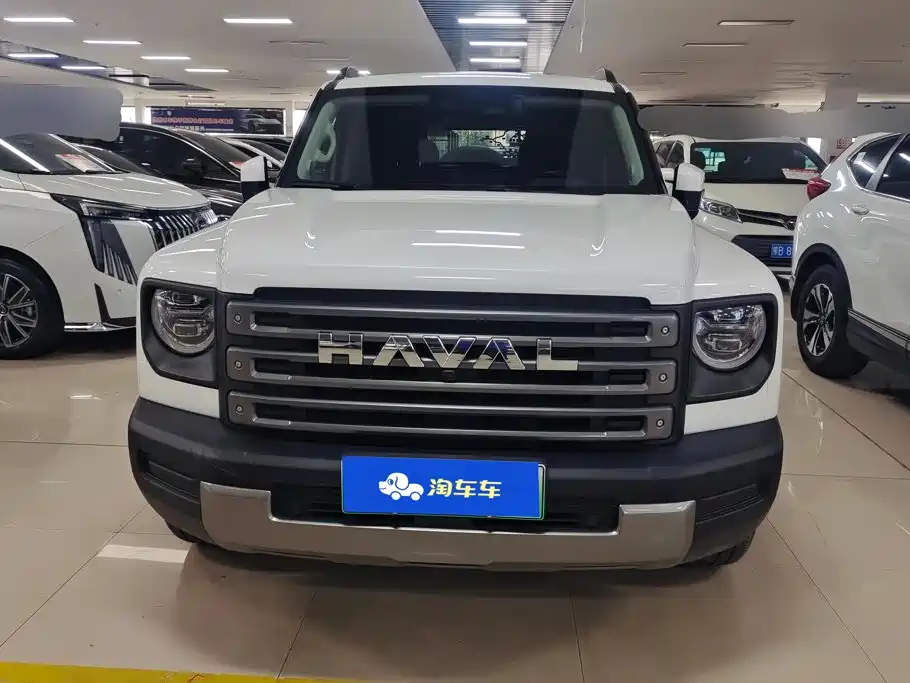 Haval Menglong New Energy — миниатюра 2