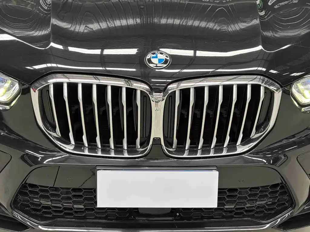 BMW X5 (Import) — миниатюра 4