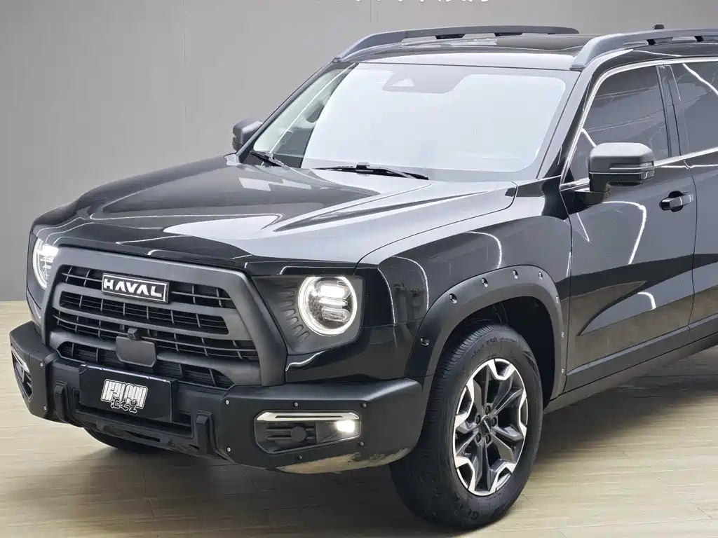 HAVAL BIG DOG