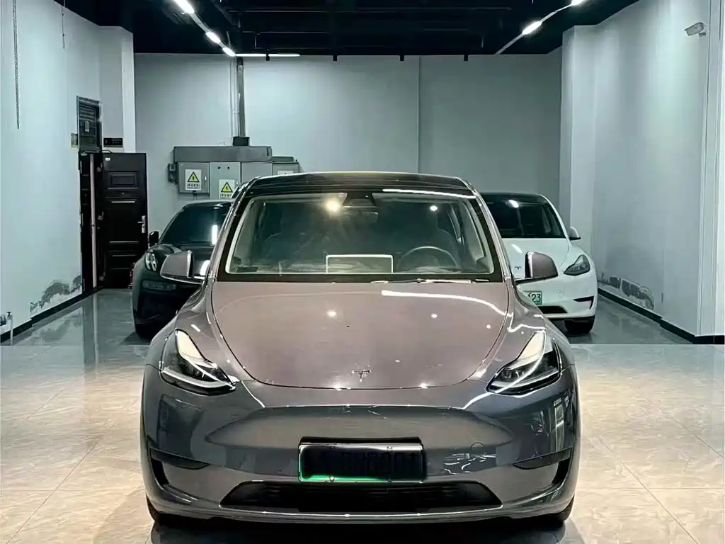 Tesla Model Y — миниатюра 2